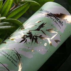 One Stop Service 10 Ml 30Ml Glass Bottle Dropper Paper Tube With Dropper Bottle