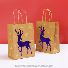 Eco-Friendly Uncoated Kraft Paper Bag - 100% Biodegradable Shopping Bag Without Plastic Liner