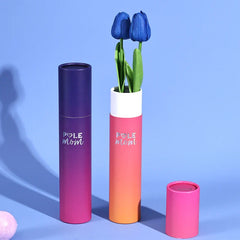 Custom Product Round Silver Foil Kraft Push up Cardboard Tube Luxury Twist up Paper Tube Packaging