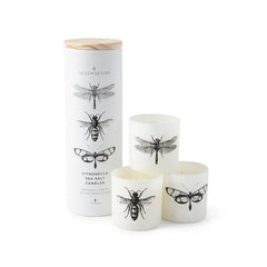 Long Kraft Craft Packaging Citronella Outdoor Incense Sticks Natural Ins Paper Tube