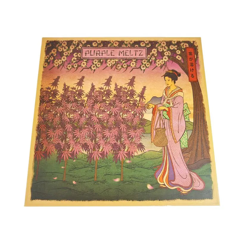 Custom Chocolate Magnet Folding Packaging Box with Round Slots Sponge Liner Matt Lamination for Food Packaging