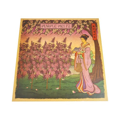 Custom Chocolate Magnet Folding Packaging Box with Round Slots Sponge Liner Matt Lamination for Food Packaging