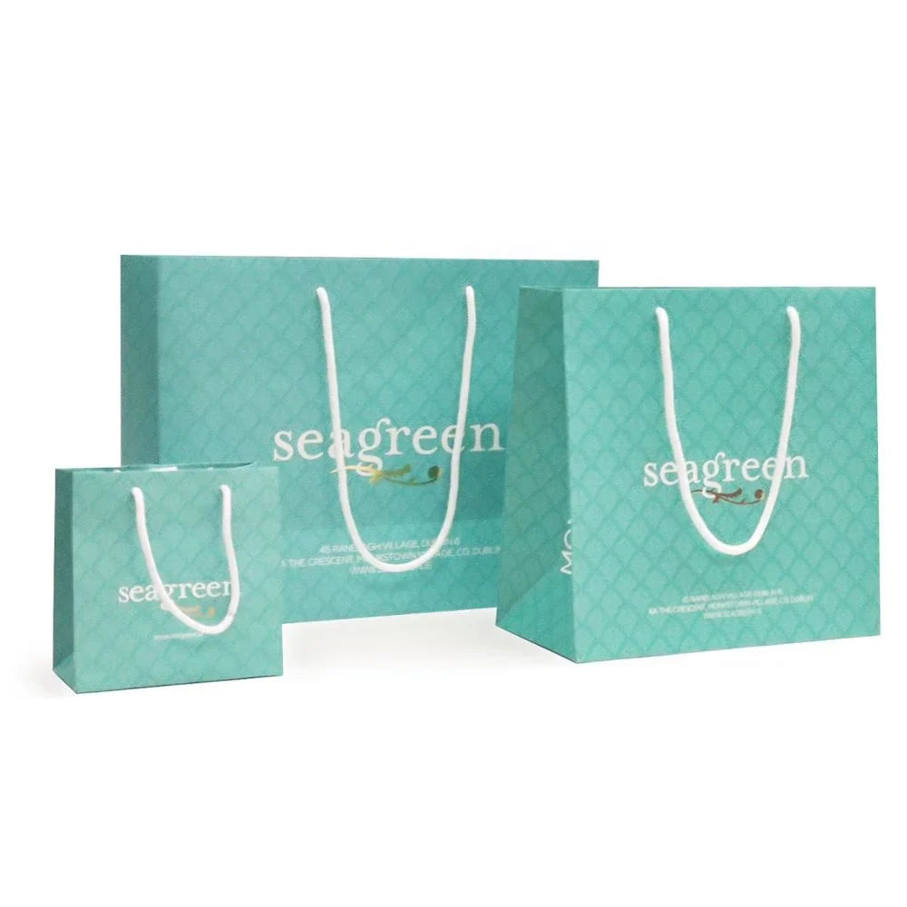 Wholesale Luxury Cardboard Paper Bag with Silver Foil Logo Custom Boutique and Shopping Clothing Packaging for Shoes