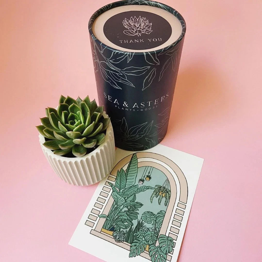 Free Sample Private Label Custom Paper Round Box Food Grade Packaging Tube Cylinder Box for Tea