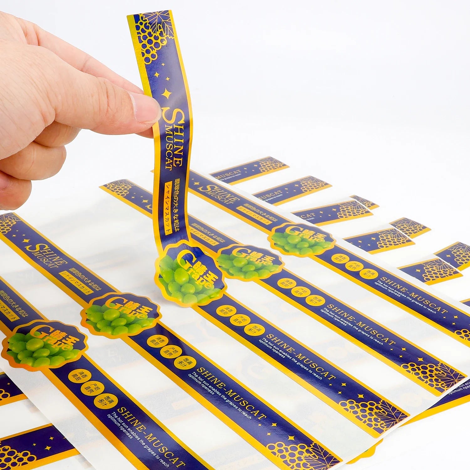 Biodegradable Vinyl Stickers Eco-Friendly Brands Custom Self-Adhesive Waterproof Logo Packaging Labels for Jar Bottle Container