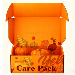Mailers Paper Box Thanks Giving Day Corrugated Carton Aircraft Airplane Folding Rigid Hard Mailer Shipping Boxes